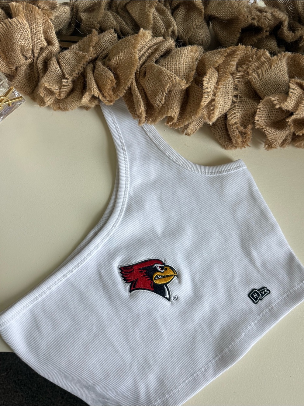 BRAND NEW Illinois State Hype & Vice Gameday Crop Top